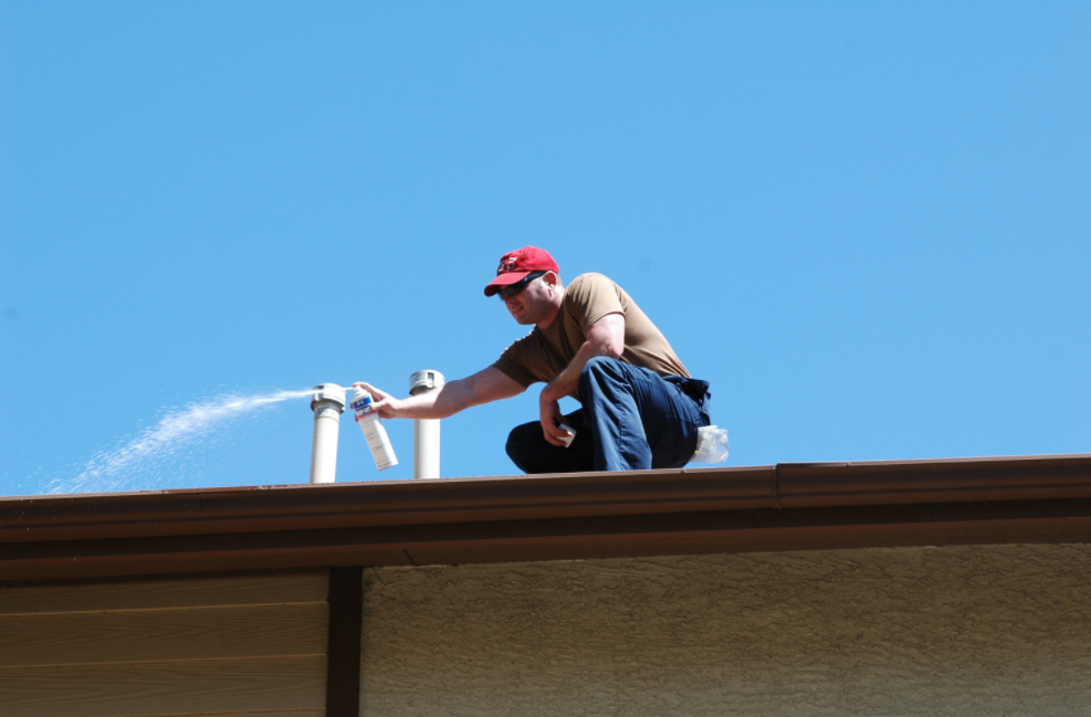 this image shows pest control in Tustin